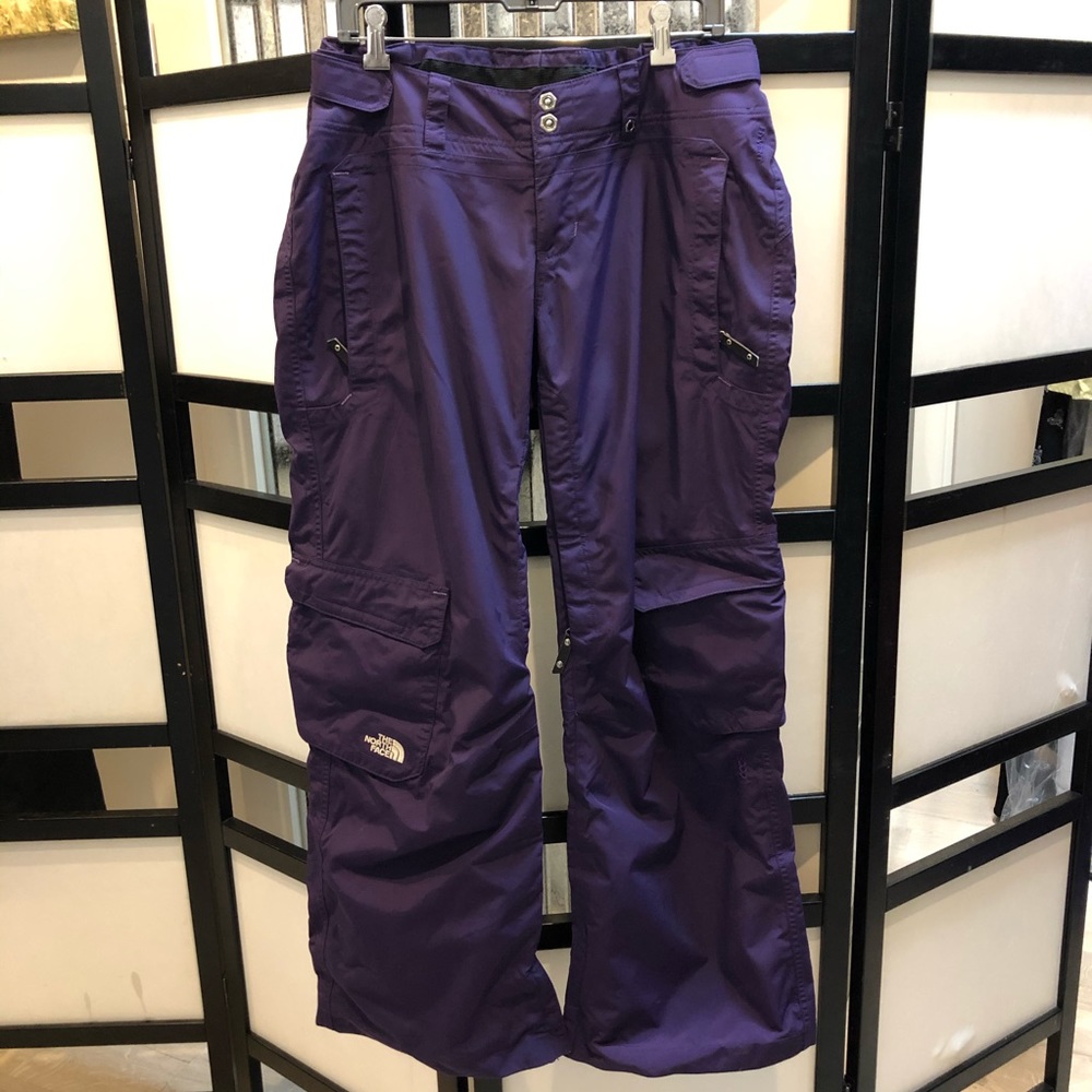Northface cryptic snowboard or ski pants